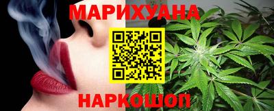 прущие грибы Будённовск