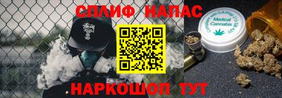 прущие грибы Будённовск