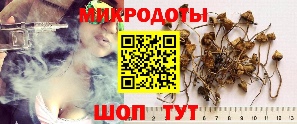 Котовск  где можно купить   Вход с VPN  Псилоцибиновые грибы прущие грибы 